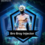 bro bary injector