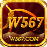 W567 Game