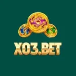 X03 Bet Game